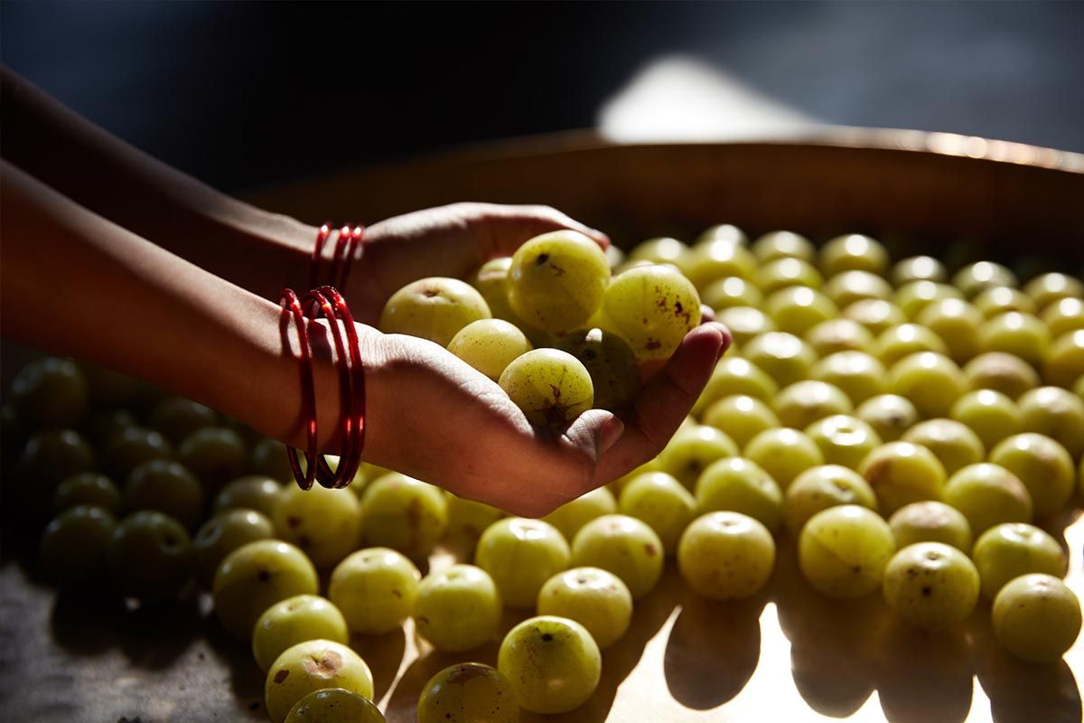 Amla, Honey & Mulethi Amla, Honey & Mulethi