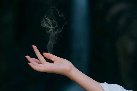 Discover Pitta Discover Pitta