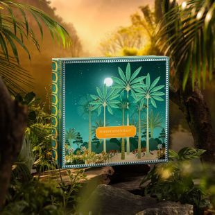 Chandra Van Gift Box | Nargis