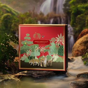Vanyaksetram Gift Box